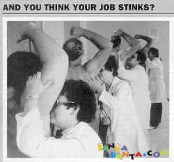 Job Stinks!